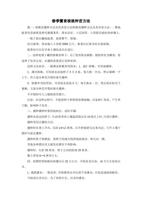 最新-春季繁育核桃种苗方法 精品