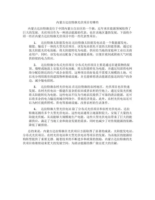 内蒙古达拉特旗光伏项目有哪些