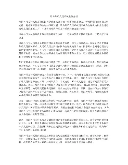 境内外币支付系统业务介绍