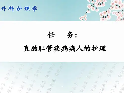 直肠和肛管疾病病人的护理ppt课件
