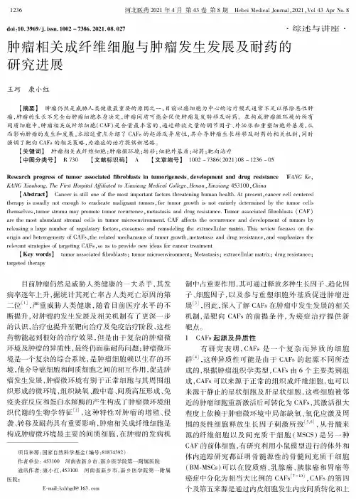 肿瘤相关成纤维细胞与肿瘤发生发展及耐药的研究进展