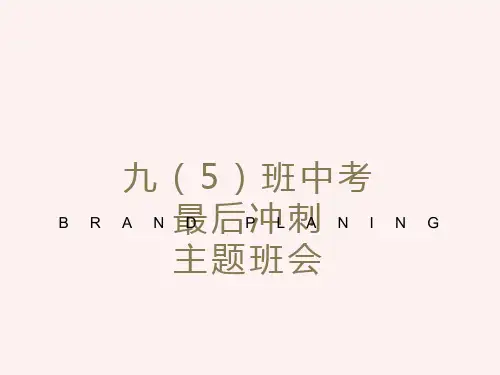初三中考前20天冲刺主题班会