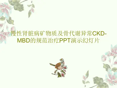 慢性肾脏病矿物质及骨代谢异常CKD-MBD的规范治疗PPT演示幻灯片共113页PPT