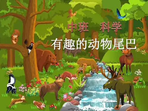 《有趣的动物尾巴》幼儿园中班科学PPT课件