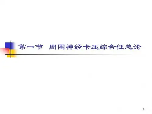周围神经卡压综合症ppt课件