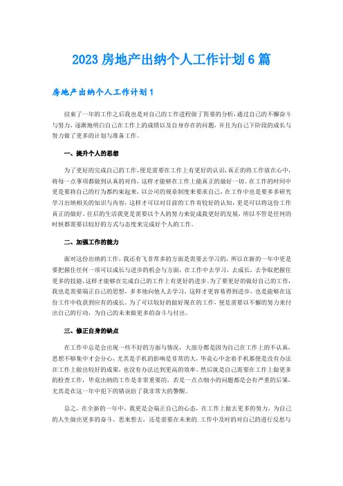 2023房地产出纳个人工作计划6篇