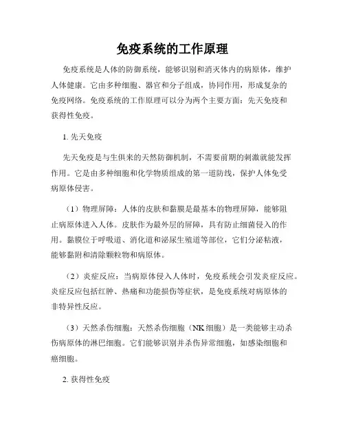 免疫系统的工作原理