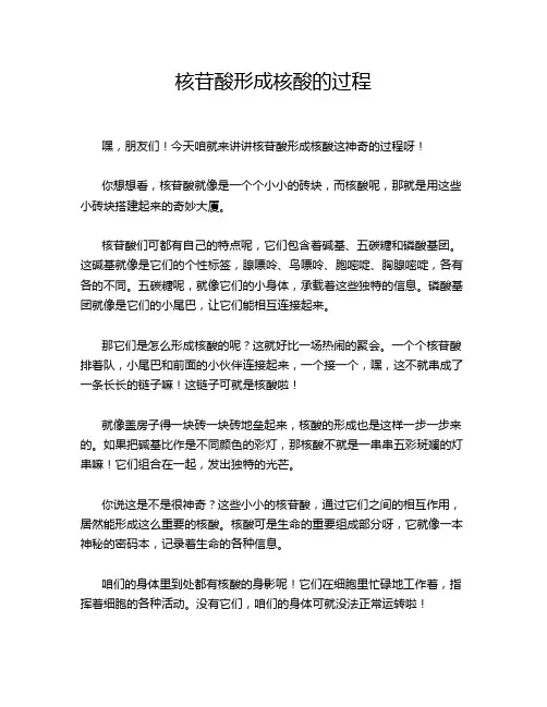 核苷酸形成核酸的过程