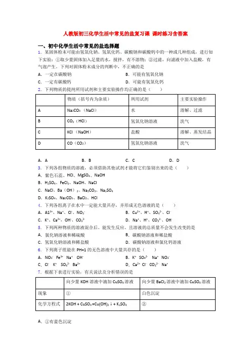 人教版初三化学生活中常见的盐复习课 课时练习含答案