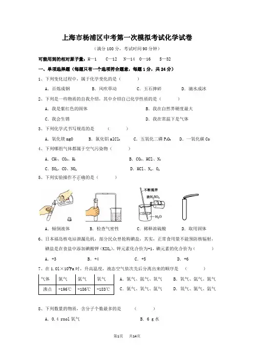 中考第一次模拟考试化学试卷