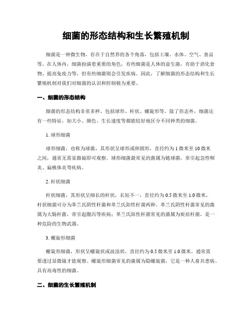 细菌的形态结构和生长繁殖机制