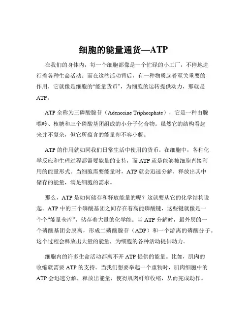 细胞的能量通货—ATP