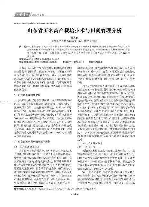 山东省玉米高产栽培技术与田间管理分析