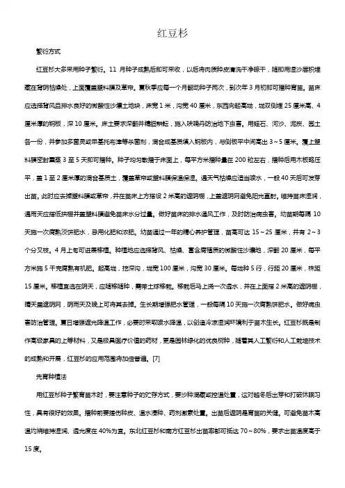 红豆杉的种植与管理