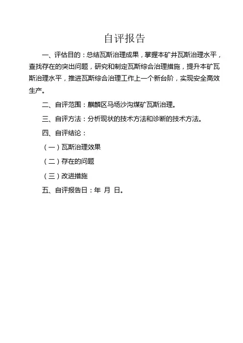 某煤矿自评报告书