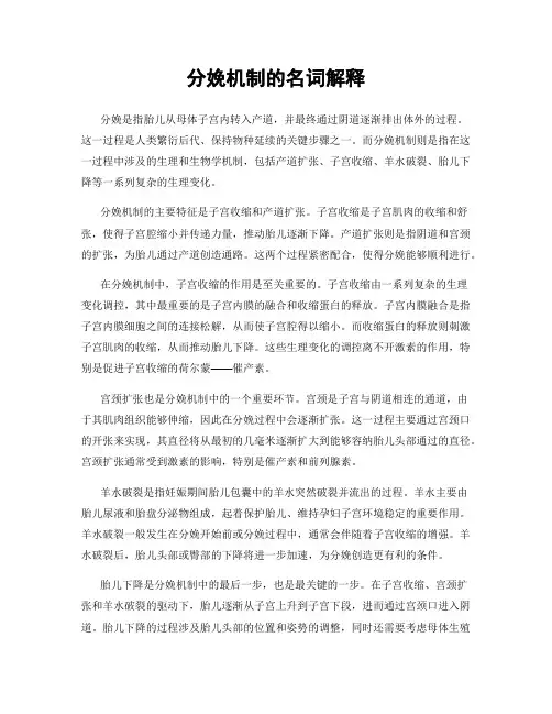 分娩机制的名词解释