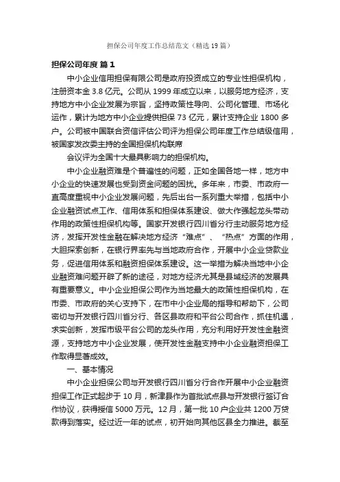担保公司年度工作总结范文（精选19篇）