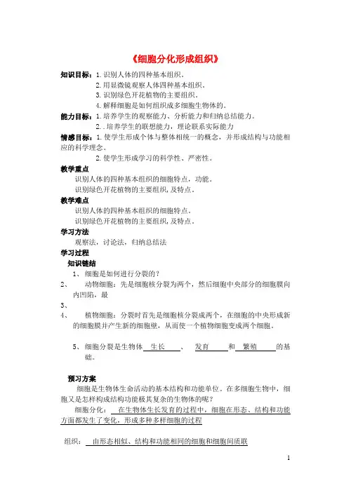 天桥区某中学七年级生物上册第2单元第4章生物体的结构层次第1节细胞分化形成组织导学案新版北师大版