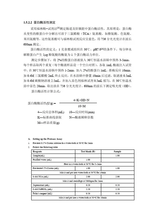 蛋白酶活性测定