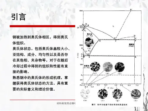 材料相变理论钢中奥氏体的形成