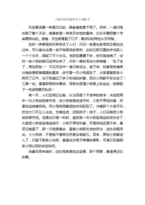 当暴风雨来临时作文600字_描写雨的作文_