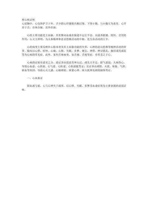 辨心病证候 
