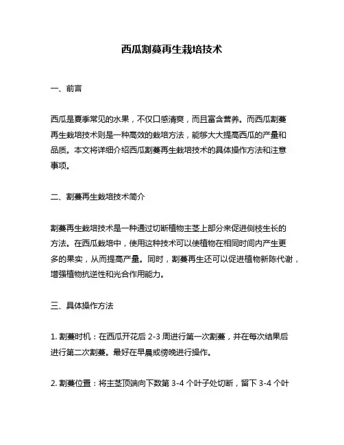 西瓜割蔓再生栽培技术