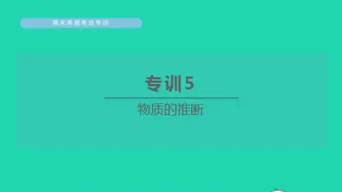 2022九年级化学下册期末高频考点专训5物质的推断习题ppt课件新版粤教版
