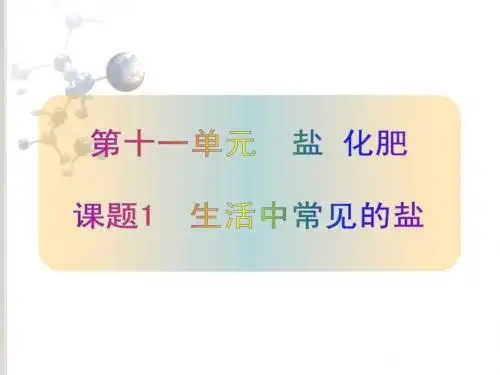 课题1__生活中常见的盐(确定稿)
