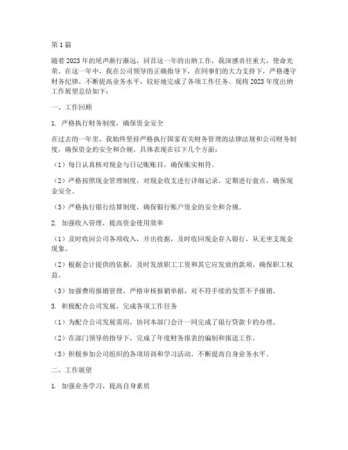出纳年度展望总结范文(3篇)
