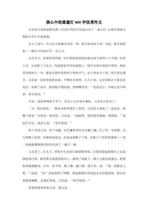 我心中的那盏灯800字优秀作文