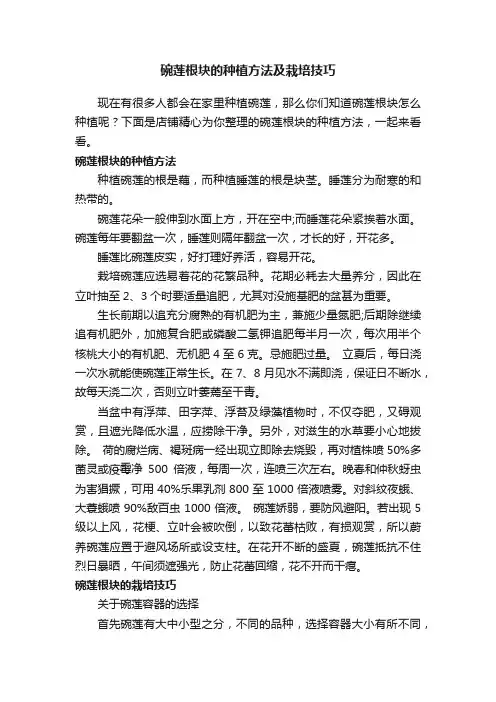 碗莲根块的种植方法及栽培技巧