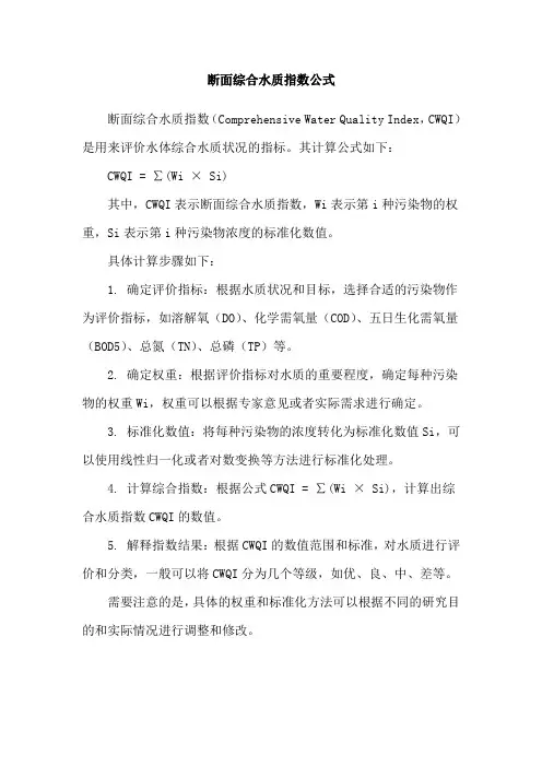 断面综合水质指数公式