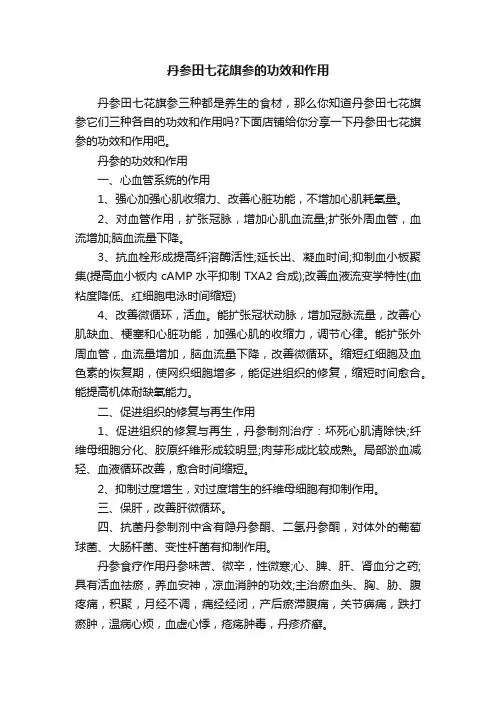 丹参田七花旗参的功效和作用