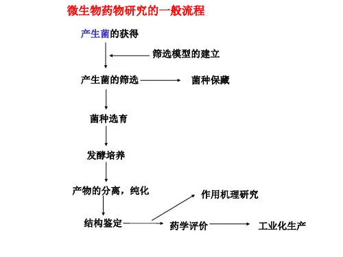 第三章-微生物药物的产生菌