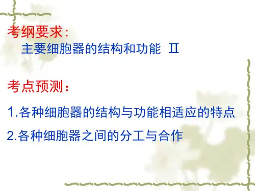 必修一细胞的结构细胞器ppt课件