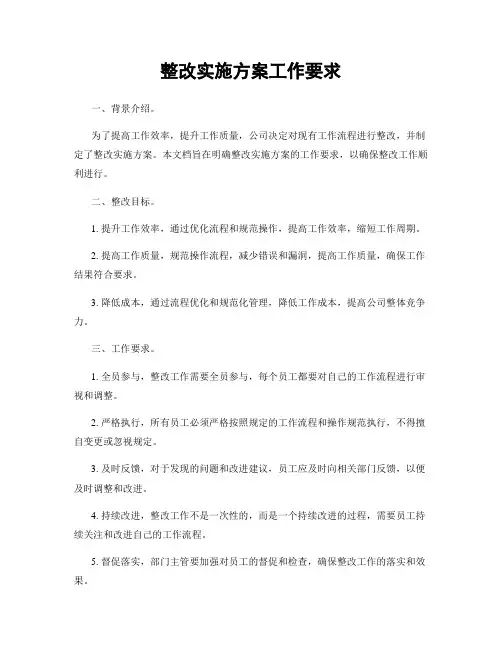 整改实施方案工作要求
