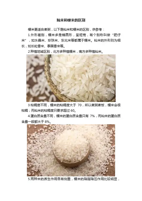 籼米和梗米的区别