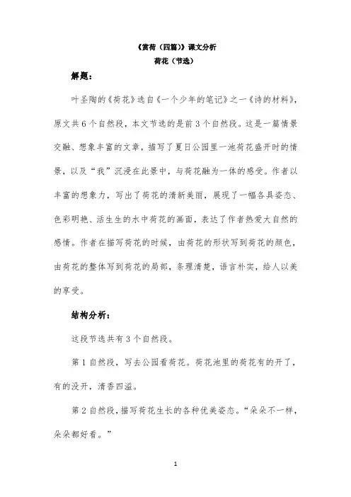 《赏荷（四篇）》课文分析