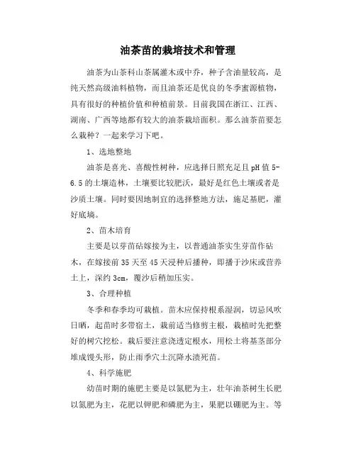 油茶苗的栽培技术和管理