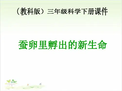 三年级下册科学-蚕卵里孵出的新生命-教科版-PPT课堂课件
