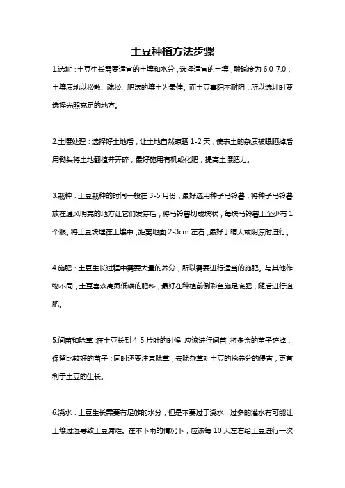 土豆种植方法步骤