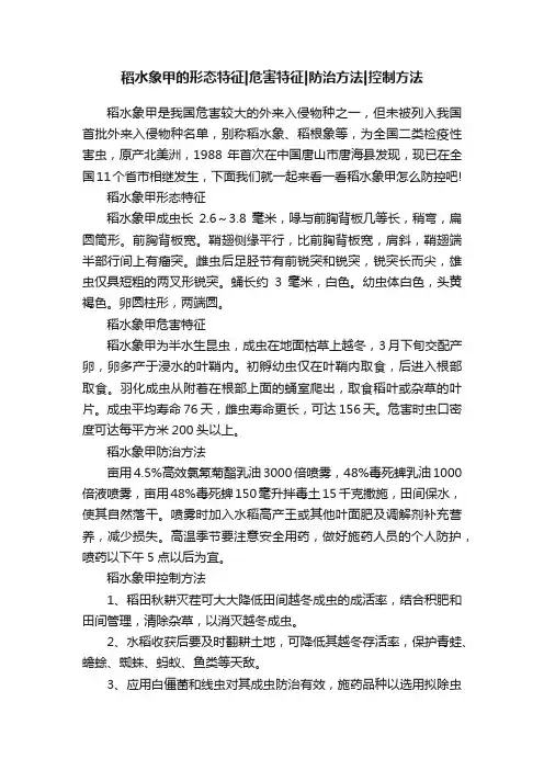 稻水象甲的形态特征危害特征防治方法控制方法