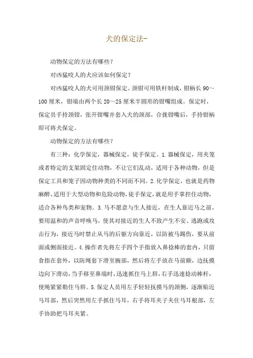 犬的保定法--动物保定的方法有哪些？