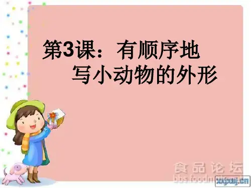 课有顺序的写小动物的外形PPT课件