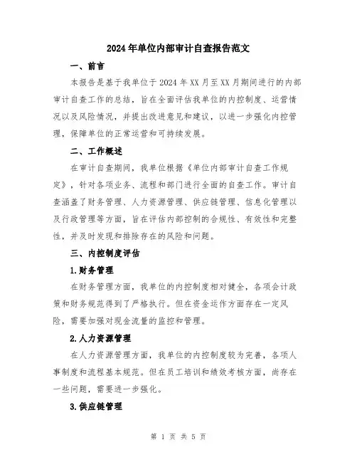 2024年单位内部审计自查报告范文