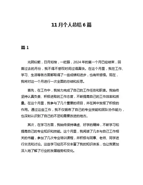 11月个人总结6篇
