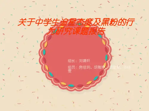 关于青少年追星现象的研究报告ppt课件
