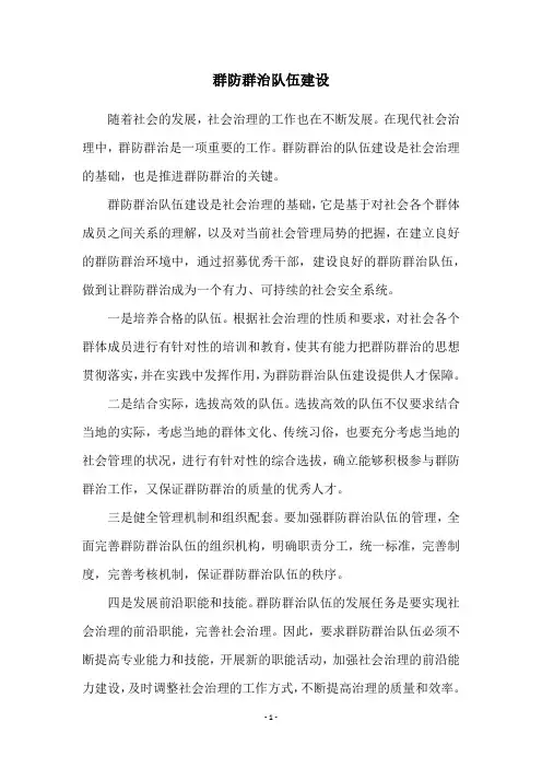 群防群治队伍建设