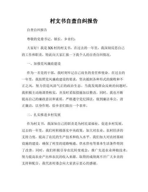 村支书自查自纠报告